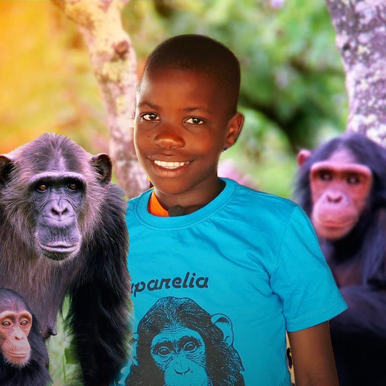 Ein Junge mit zwei Schimpansen