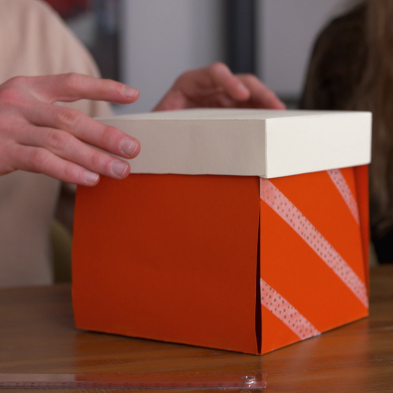 DIY-Box (Foto: SWR)