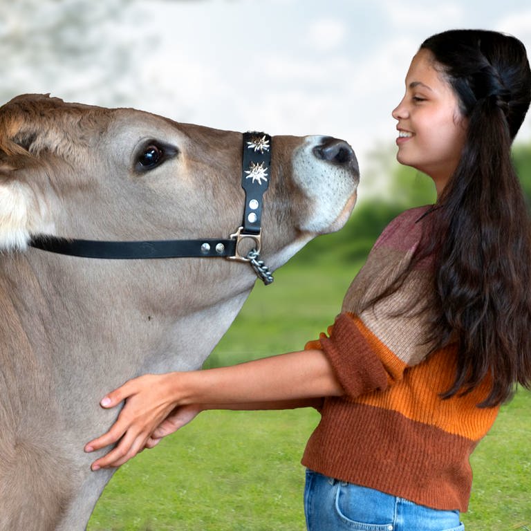 Eine Kuh schnüffelt an einem lachenden Mädchen auf einer Wiese. (Foto: SWR)