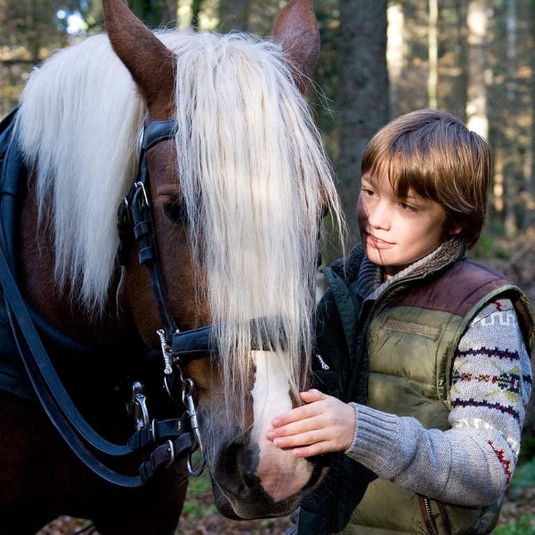 Darsteller der Serie "Tiere bis unters Dach" mit einem Pferd